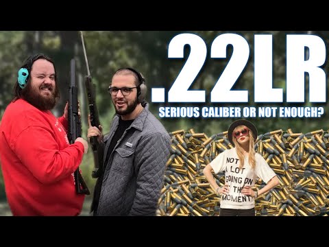 .22LR - Is it enough?