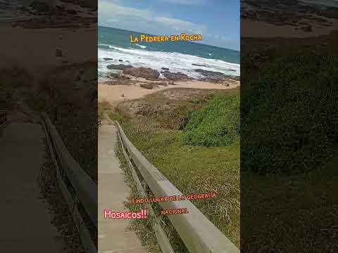 La Pedrera Rocha