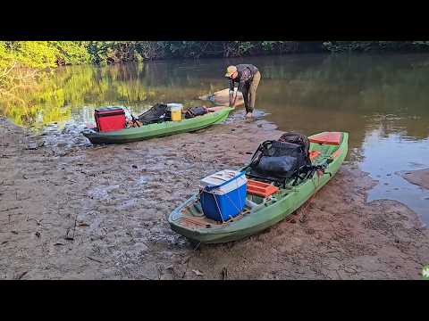 Região Amazônica de Mato Grosso Pesca no Rio Vermelho Castanheira-MT
