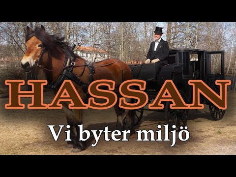 Hassan Telefon-Busringning - Vi byter miljö