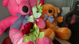 Free flower gift with Tady Bear for birthday gift or anniversary gift Day