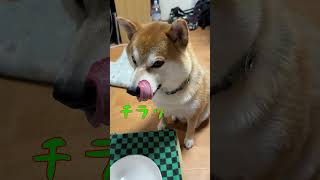 よくあるイタズラに、キレないてんちゃん偉い(笑)