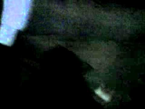 REALCREACION Y SAVIGREEN PRE-FESTIVAL AGOSTO NEGRO 2