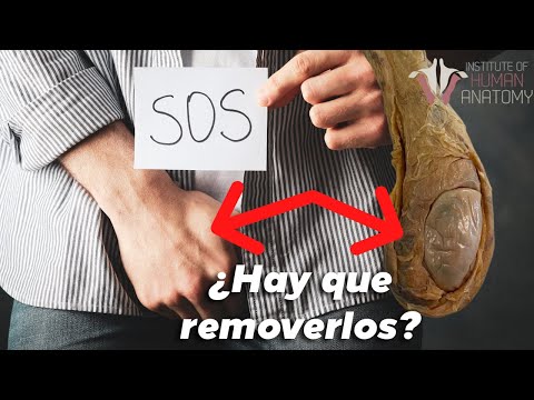 5 razones por las que los hombres pierden los TESTÍCULOS