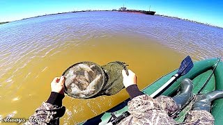 Ловля осенью на волге красноперки и воблы