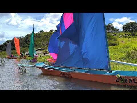 Grande treinão barco com uma vela Traipu-Al, 4 de junho de 2026