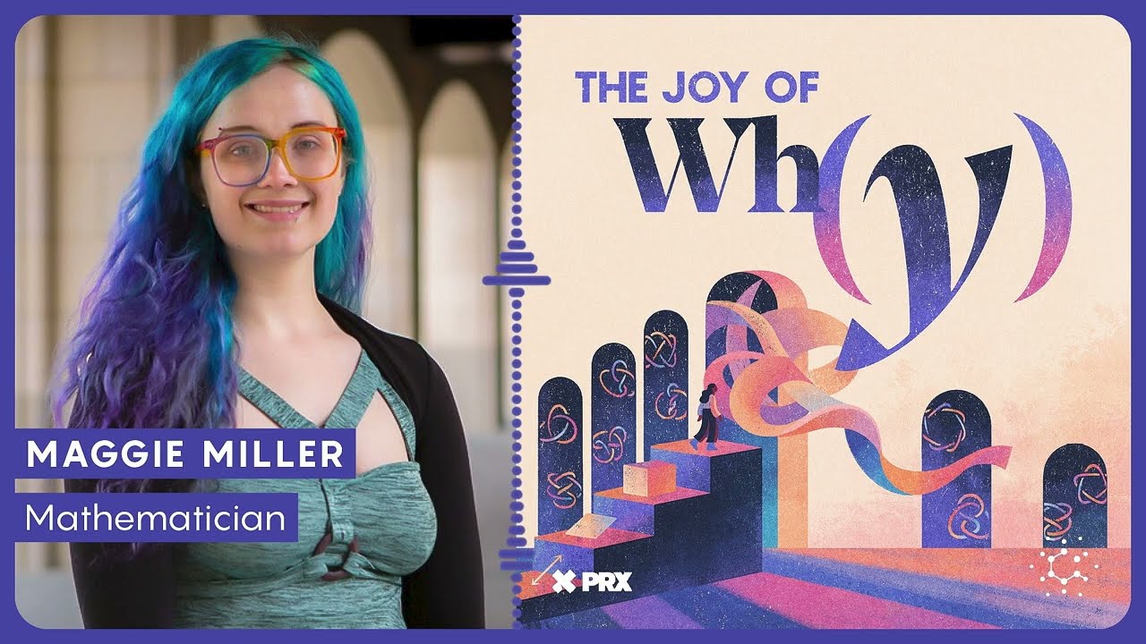 What Does the Fourth Dimension Actually Look Like? | PODCAST: The Joy of Why