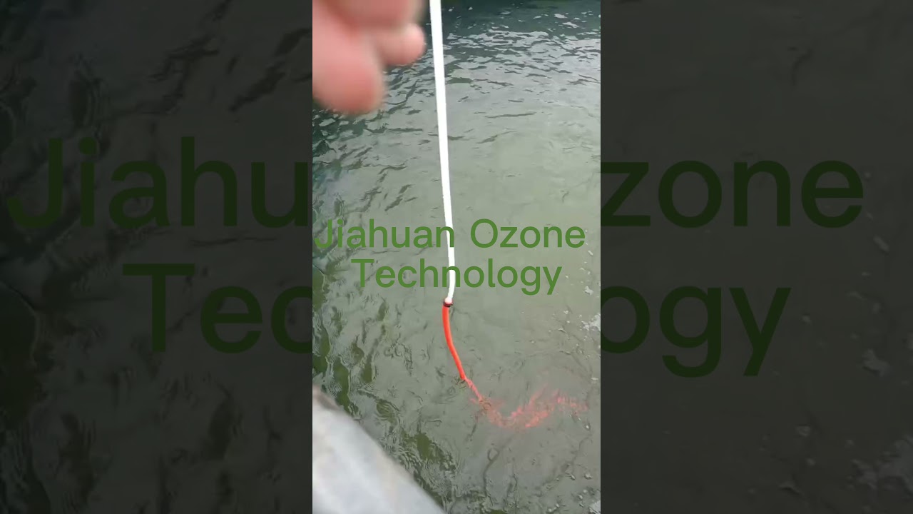 30g Ozone Generator for Aquaculture Fish Farming