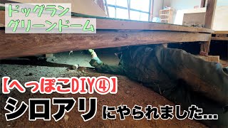 【悲劇】（へっぽこDIY④）床下がシロアリにやられていました...