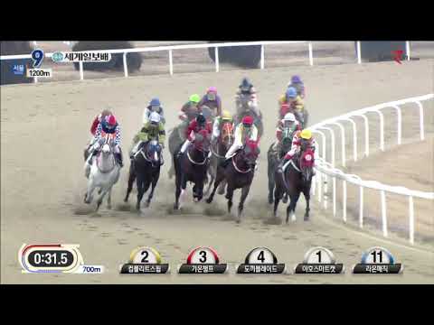 Segye Ilbo Cup 2020 - Simjangui Godong