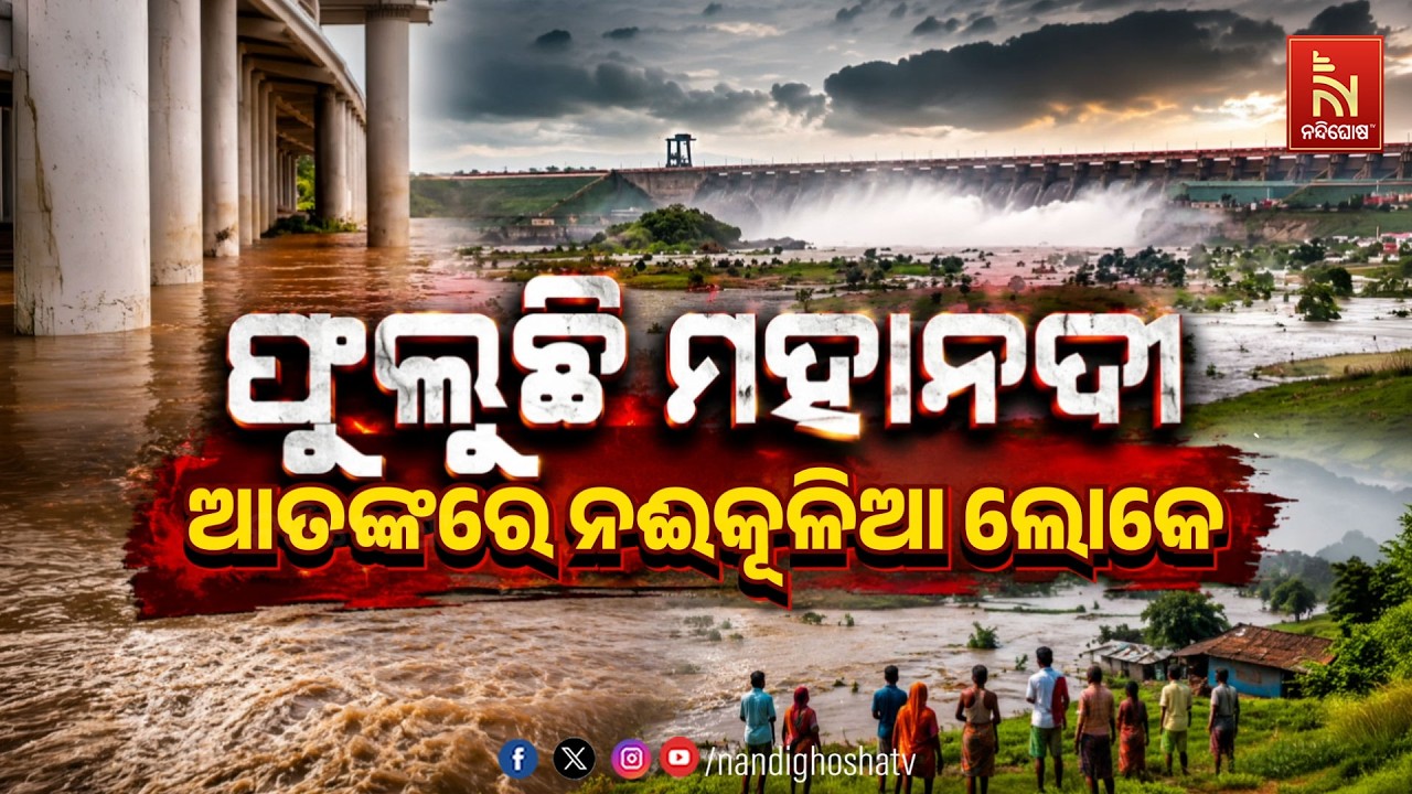 ଫୁଲିଲା ମହାନଦୀ: ଆତଙ୍କରେ ନଈ କୁଳିଆ ଲୋକେ | NandighoshaTV
