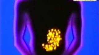 Lo Stomaco - Piero Angela (parte 2/2)