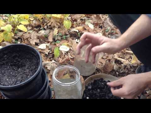 download lagu mp3 mp4 Charcoal Water Purification System, download lagu Charcoal Water Purification System gratis, unduh video klip Charcoal Water Purification System