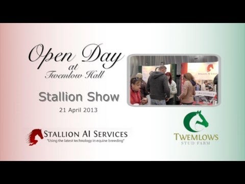 Open Day Stallion Parade 21 Apr 2013