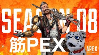 #4[Apex Legends】負けたら即筋トレ！Season 8 ランクがんばる！ [ はんぞうGames】