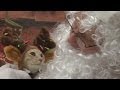 Cats And Dogs Sit On Santa S Lap In North Carolina