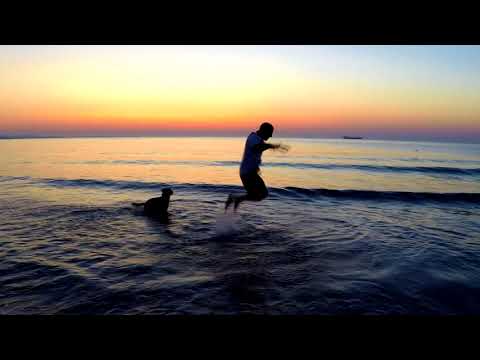 bggz rubbit - "Rhyme & Reason"