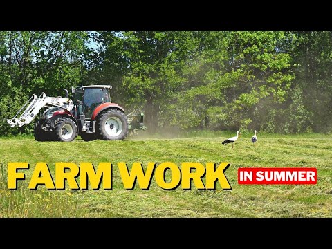 SUMMER JOBS IN SMALL DAIRY FARM (LOADING SILAGE BALES AND MOWING HAY)