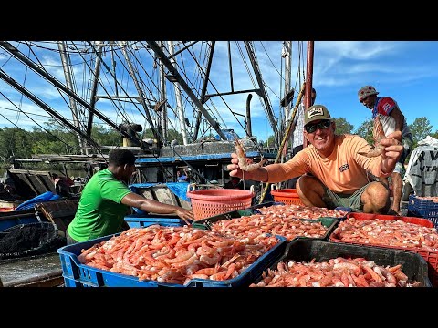 We Found the Biggest Shrimp I’ve Ever Seen while Exploring in the Middle Of Nowhere!
