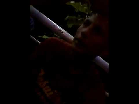 Freestyle kodigo 16 ft Rabbit   2018