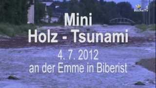 preview picture of video 'Hochwasser Emme Juli 2012'