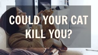 Could Your Cat Kill You? (What Is Cat-scratch Disease?)