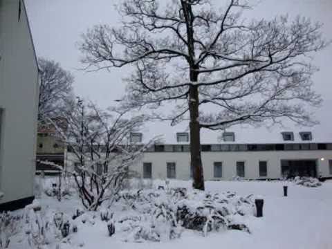 SNEEUW in de manschappentuin van het DUITSE HUIS,19-12-2010, 9.55-10.05 uur. MOV09177.MPG