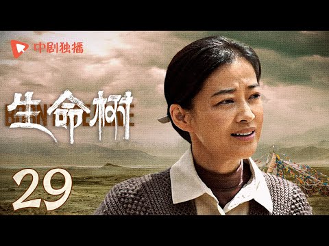 生命树 29 | Born to be alive 29（杨紫、胡歌、李光洁、张哲华、杨烁、梅婷 领衔主演）