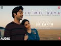 SRIKANTH TU MIL GAYA Audio RAJKUMMAR RAO ALAYA JUBIN NAUTIYAL TULSI KUMAR TANISHK BAGCHI