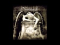 Dark Chest of Wonders (Nightwish Instrumental ...