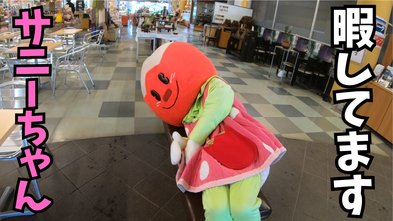 おがたチューリップフェスタ開幕！サニーちゃんのお仕事