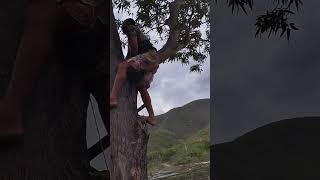 lan house subindo na cadeira