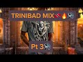 Trinibad Dancehall Mix🇹🇹🔥 Prince Swanny, Kman6ixx, Tman, Tafari, Kalonji (I Do Not Own Any Songs)