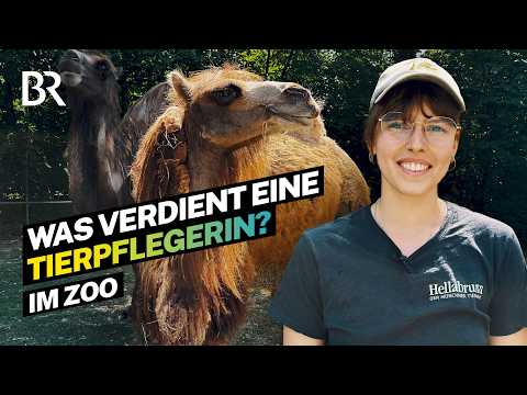 Job mit gefährlichen Tieren: So viel verdient eine Tierpflegerin im Zoo | Lohnt sich das? | BR