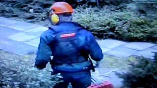 More than a dream - Pet Shop Boys (Gardening Home Video)