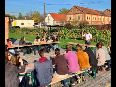 Solidarity City - Vienna