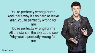 Shawn Mendes - Perfectly Wrong (Lyrics) 🎵
