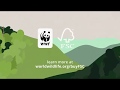 Why the FSC label matters for forests, people, and wildlife