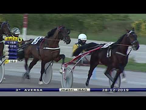 Aversa trotto 28 Dicembre 2019 - 3° Corsa