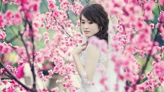 Yanni - One Man's Dream