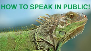 How to speak in public - Learn from Professor of Rhetoric Anders Sigrell video