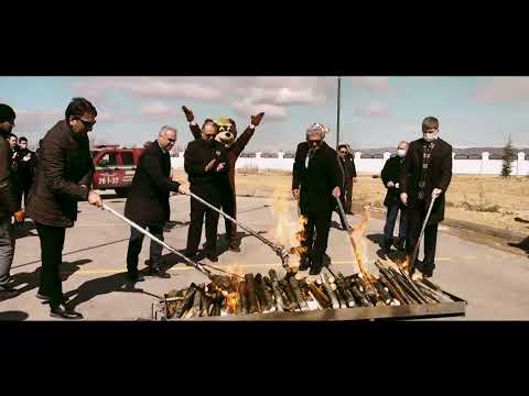 Video Galeri