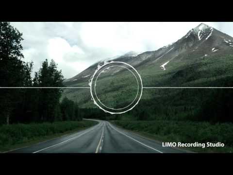 Back To The Wild - Martin Hall