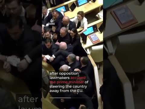 Fistfight erupts in Georgia's parliament during PM's address | AJ #shorts