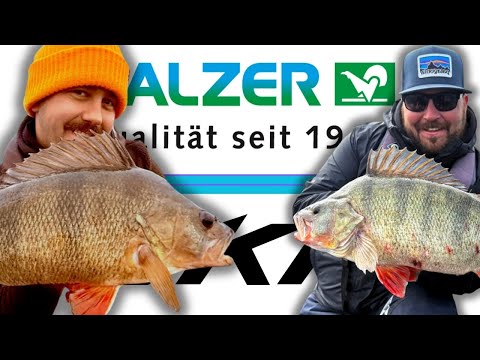 ANGELNEWS 30/25 - Neue Studie zum Kormoran, Hilfe für Enrico, Balzer wieder die Eins, uvm...