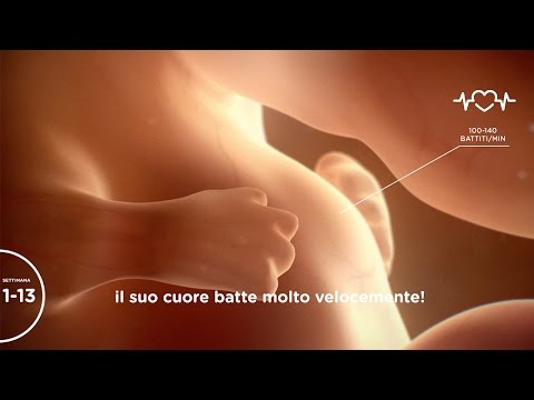 E-217 fasciatura per caviglia Il trattamento delle malattie della colonna vertebrale sacrale