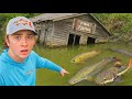 I Found An Abandoned Fish Farm