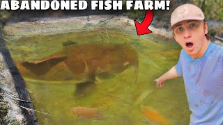 I Caught a MONSTER in an Abandoned Fish Farm!
