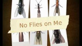 No Flies on Me!