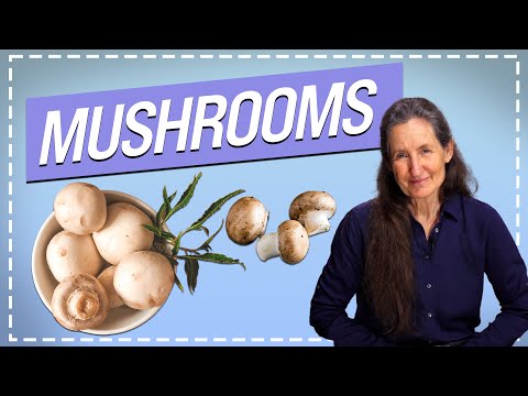 Funghi: mangiare o non mangiare?